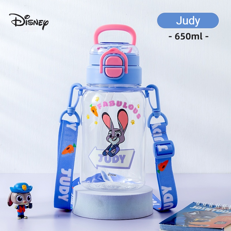 Disney Children's Insulated Cu - Flask Stainless Steel review and price