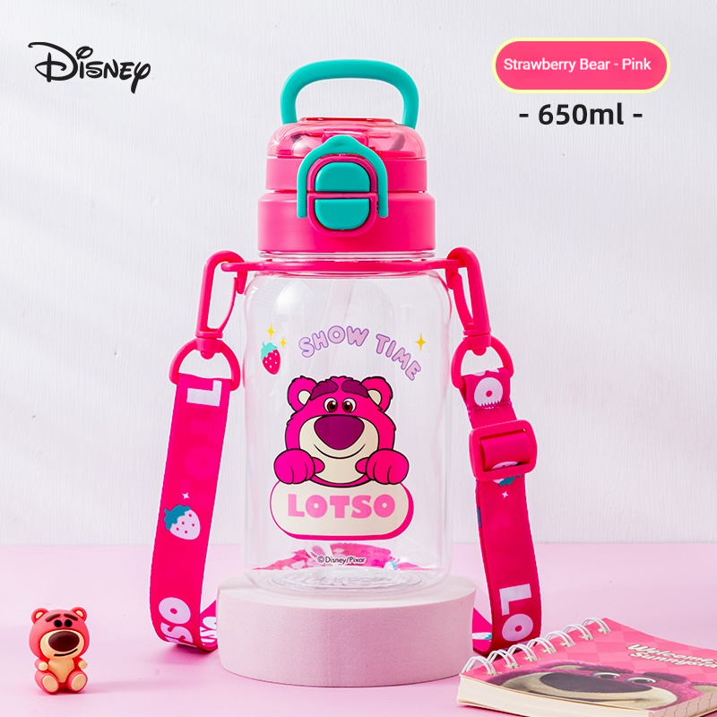 Disney Children's Insulated Cu - Flask Stainless Steel review and price